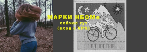 МДПВ Каменногорск