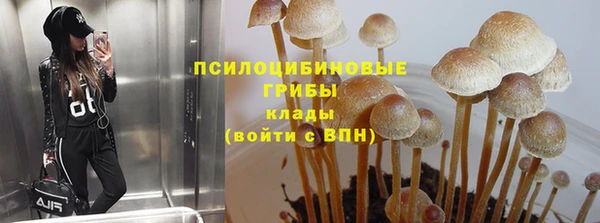 а пвп мука Карталы
