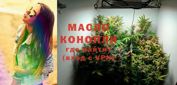дмт Касимов